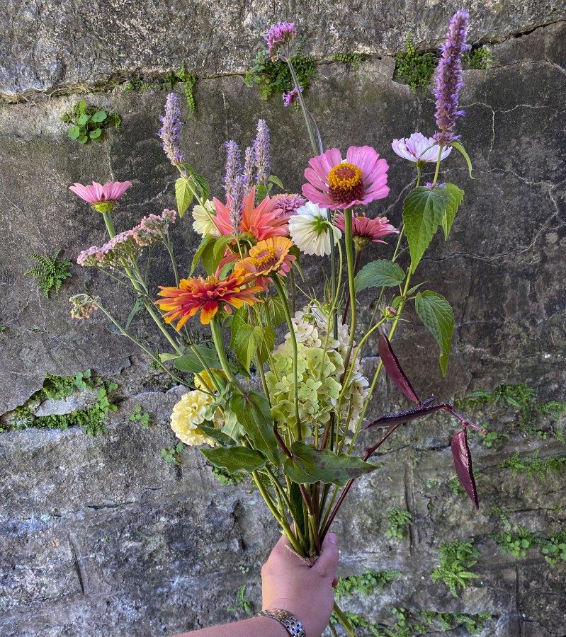 Blumengalerie-Shop-Abos-M- Schweizer Blumen.jpg3